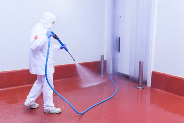 Reliable West Liberty, OH Pressure Washing Services Solutions