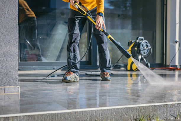 Animal Enclosure Cleaning in West Liberty, OH